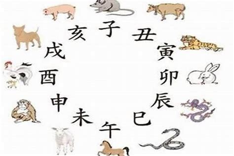 猪和蛇|属猪和属蛇的合不合 蛇和猪能过一辈子的吗